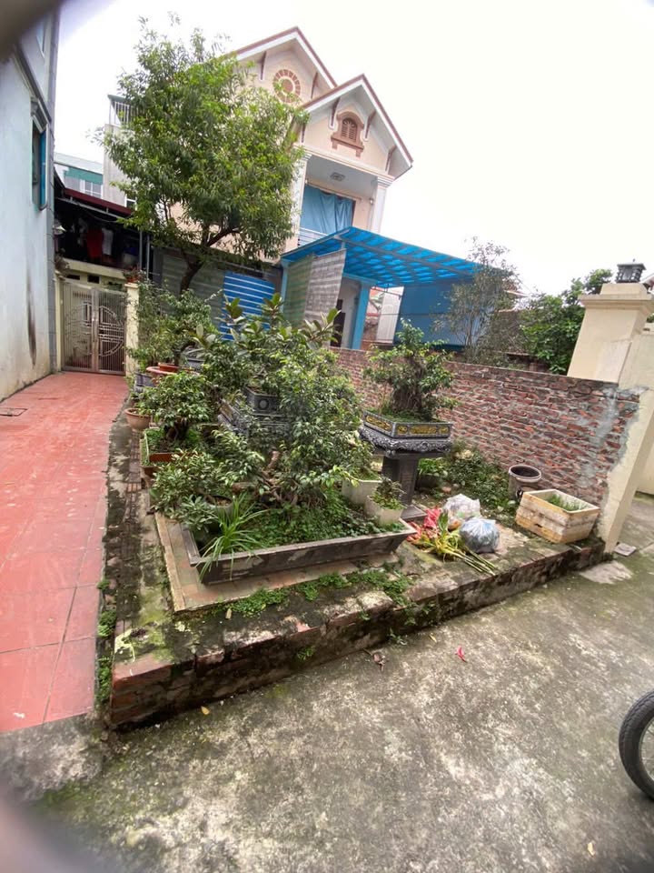 Đất thổ cư lô góc 52m² Lưu Xá, Đức Giang, Hoài Đức - Giá cả thương lượng hấp dẫn!