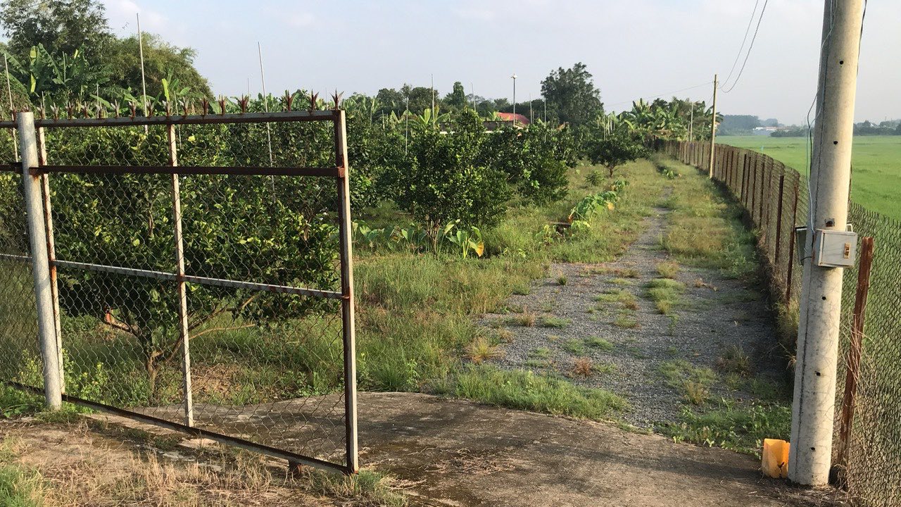 Đất trồng cây lâu năm 3.224m² tại Xã Bạch Đằng, Tân Uyên giá 12.12 tỷ - Chính chủ bán gấp!