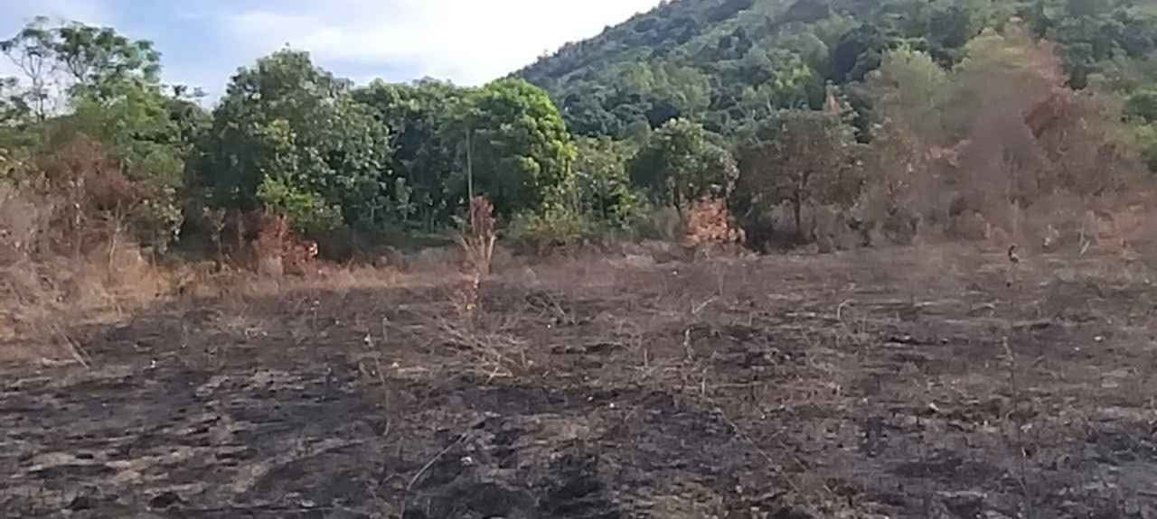 Đất vườn Diên Điền, Diên Khánh 3650m² giá 590 triệu - Sổ hồng chính chủ, công chứng ngay!