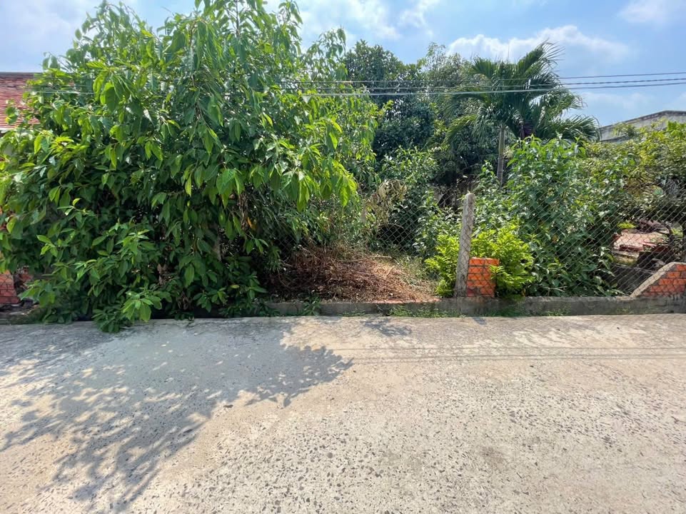 Đất Bàu Đồn Gò Dầu 142m² - Giá thỏa thuận chính chủ, đầu tư tốt!