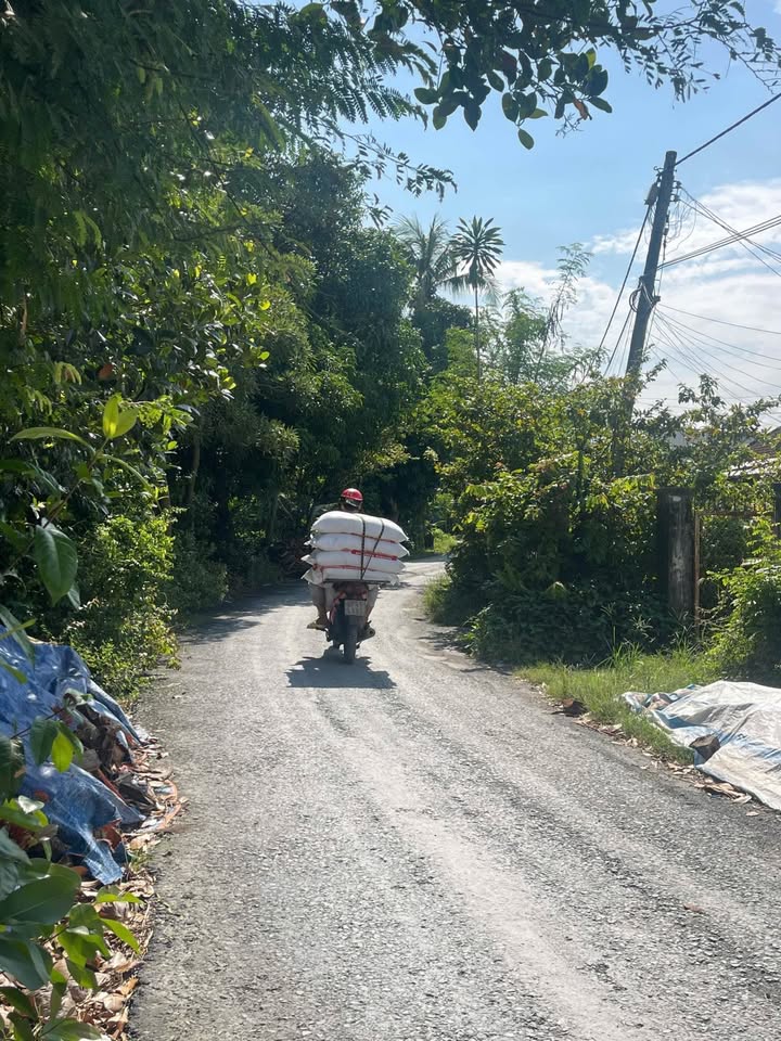 Đất nền mặt tiền sông Trạm Bơm, Mỹ Hòa 73m² giá 900 triệu - Cơ hội đầu tư tuyệt vời!