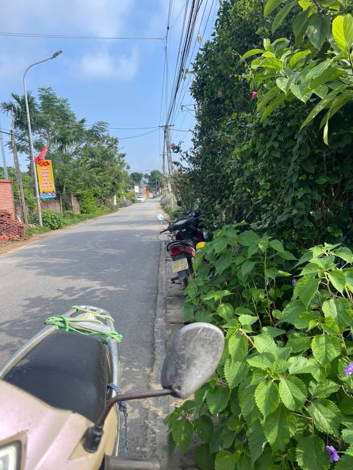 Đất nền Thôn Bài, Ba Vì 550m² - Lô góc đẹp, pháp lý rõ ràng!