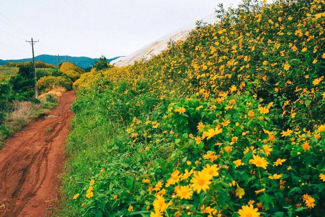 Đất nền Xuân Thọ Đà Lạt 7700m² giá 5.8 tỷ - Sổ đỏ chính chủ, 2 mặt tiền đường