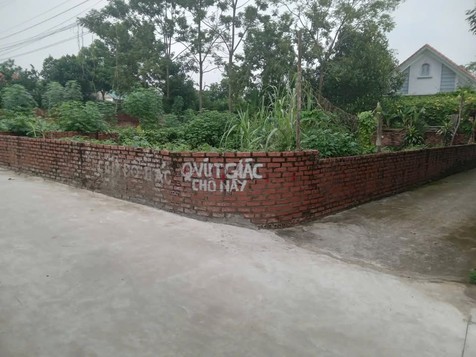 Đất nền Vĩnh Phú, Thụy Vân 85.6m² giá 1 tỷ - Lô góc tài lộc đón gió mát!