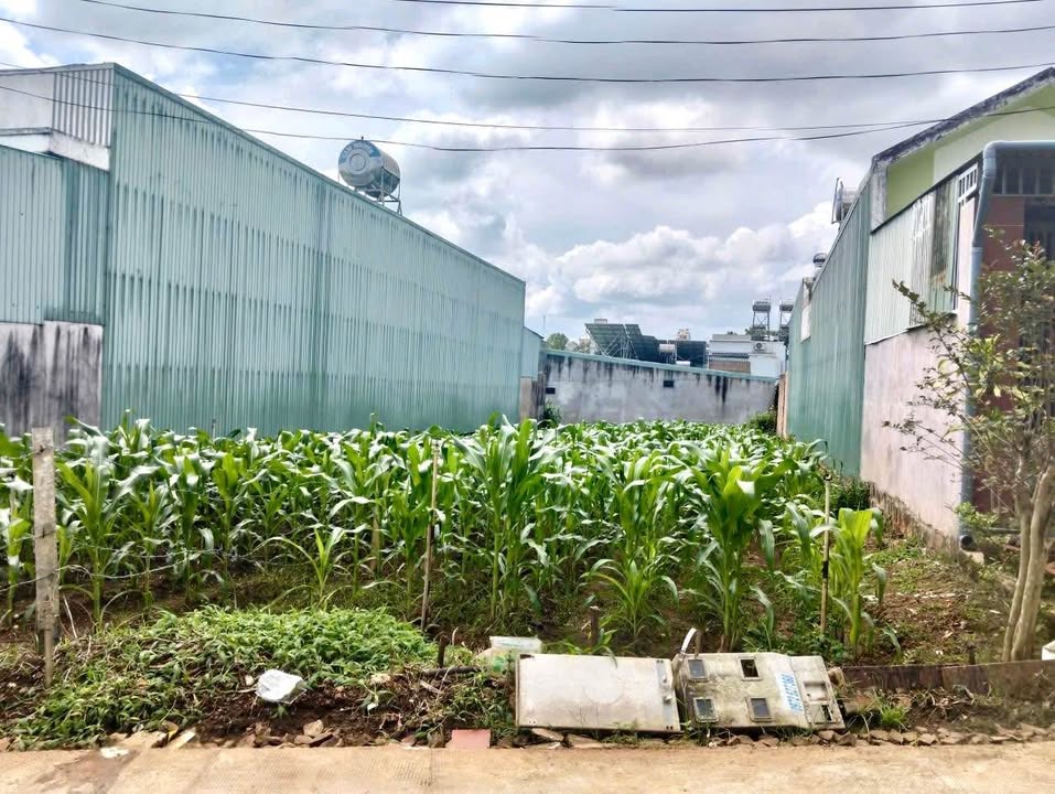 Đất Hẻm 22 An Dương Vương, Phường Thắng Lợi, 175m² - Giá chỉ 1.05 tỷ, cơ hội đầu tư tuyệt vời!