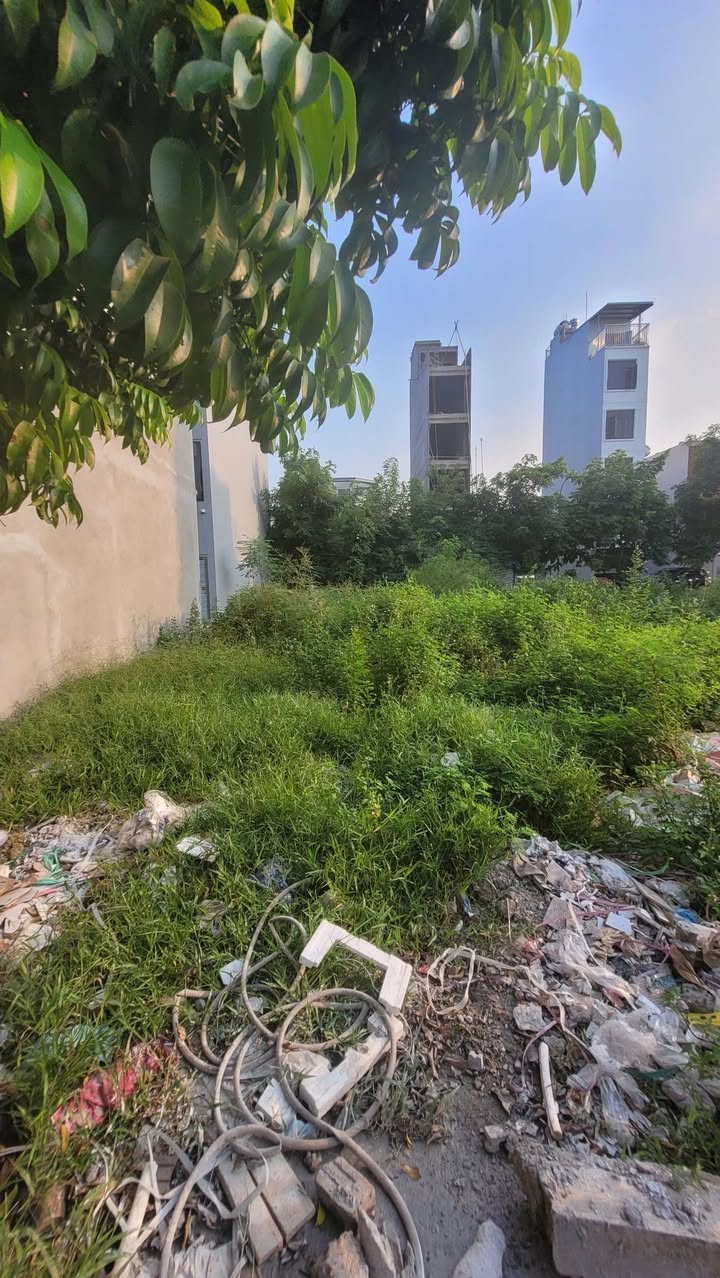 Đất tái định cư Phương Nhị, Liên Ninh 30m² giá 5.8 tỷ - Đầu tư thông minh!