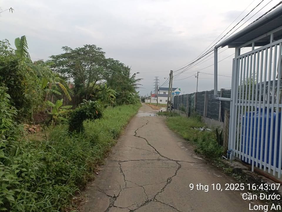 Nhà cấp 4 tại Mỹ Lệ, Cần Đước 333m² giá 1.66 tỷ - Bán gấp, sân đậu xe hơi!