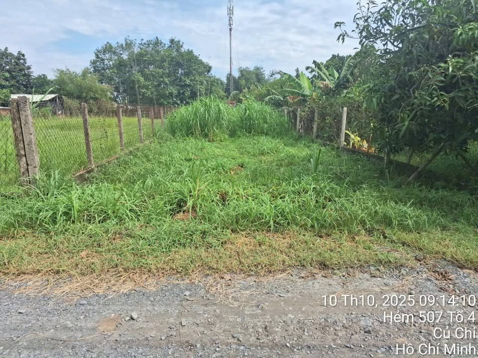 Đất thổ cư 209m² tại xã Thái Mỹ, Củ Chi - Giá chỉ 1.3 tỷ - Sổ đỏ chính chủ!