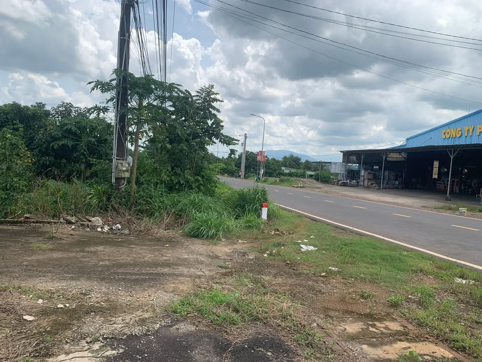 Đất thổ cư Phú Túc 163m² giá 1.55 tỷ - Mặt tiền tỉnh lộ 763, sẵn nhà cấp 4!