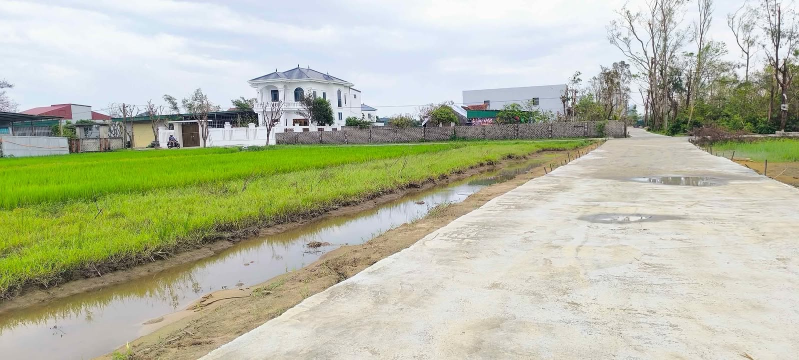 Đất Nghi Thái, Nghi Lộc 82.4m² giá chỉ 900 triệu - View ruộng thoáng đãng!