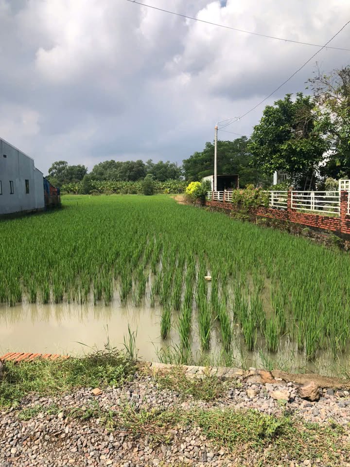 Đất nền xã Thống Nhất, huyện Thống Nhất, 902.9m² giá 1.1 tỷ - Vị trí đẹp, thuận tiện giao thông!