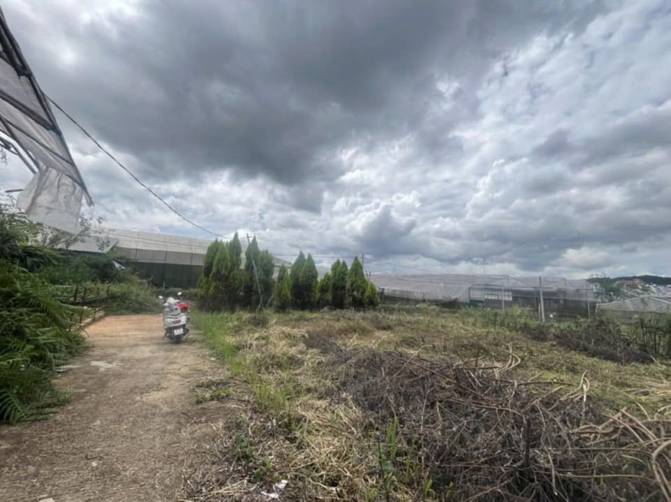 Đất Thái Phiên Đà Lạt 361m² giá 2.75 tỷ - Sổ đỏ chính chủ, ô tô vào tận nơi!