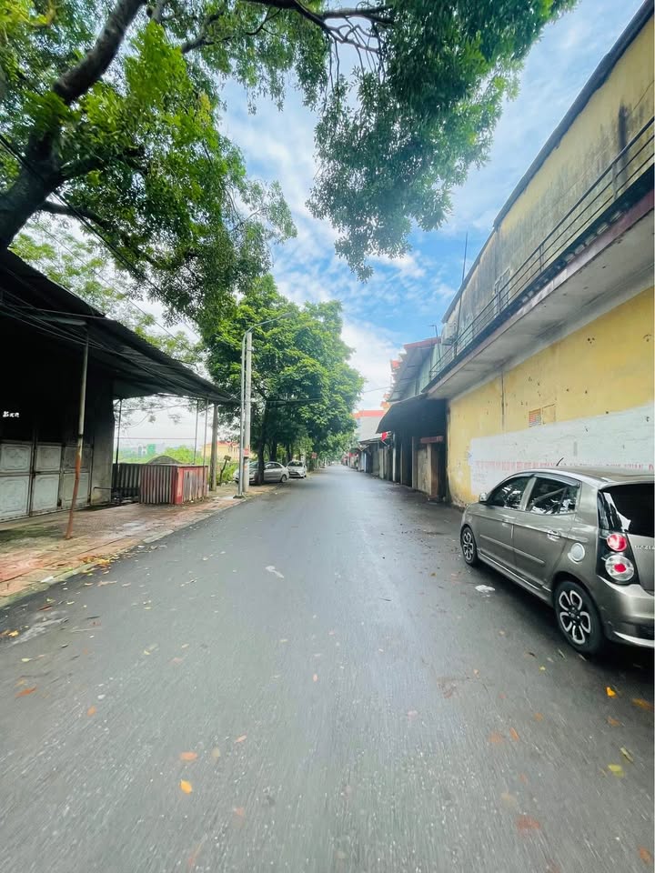 Đất nền chính chủ tại khu phố Tự, phường Tam Sơn, 50m² - Gần chợ, trường học chỉ 1 tỷ!