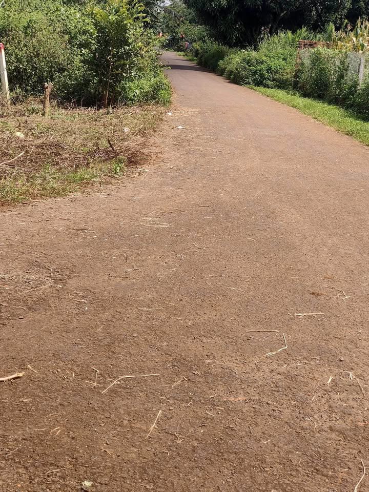 Đất nền Ea Kao 144m² giá chỉ 635 triệu - Cơ hội đầu tư tuyệt vời!