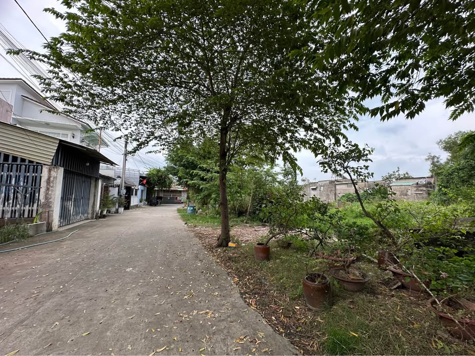 Đất nền Phước Thiền, Nhơn Trạch 70m² chỉ 600 triệu - Sổ hồng chính chủ!