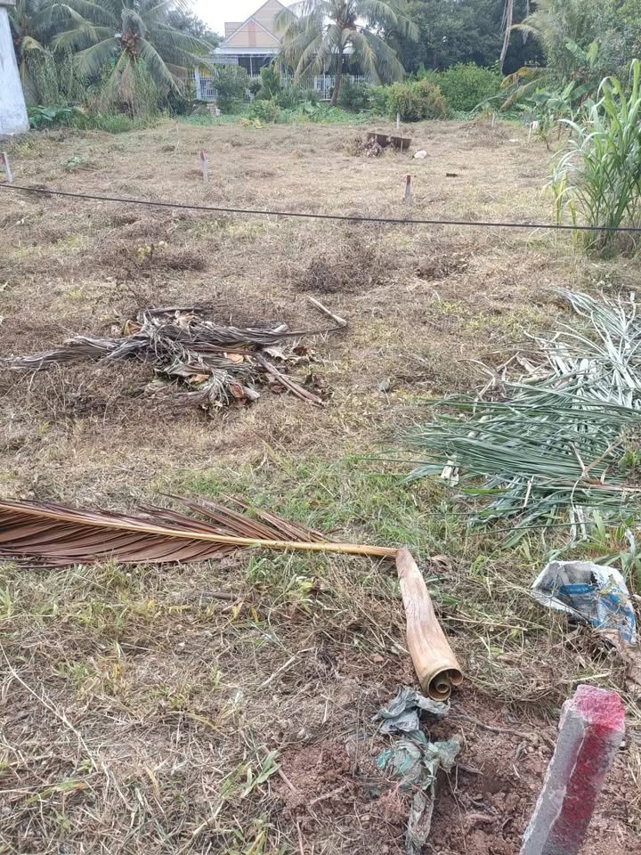 Đất nền chính chủ tại xã Mỹ Thuận, Vĩnh Long 122m² giá chỉ 250 triệu - Cơ hội đầu tư tuyệt vời!