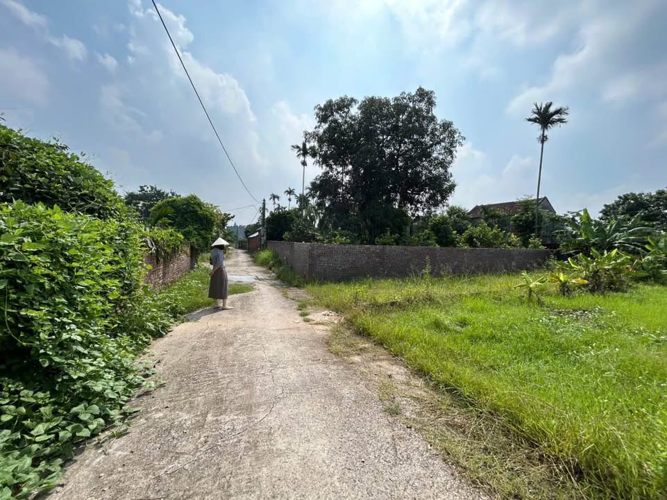 Đất nền Quỳnh Phú, Gia Bình 92m² - Sổ đỏ chính chủ, giá tốt cho nhà đầu tư!