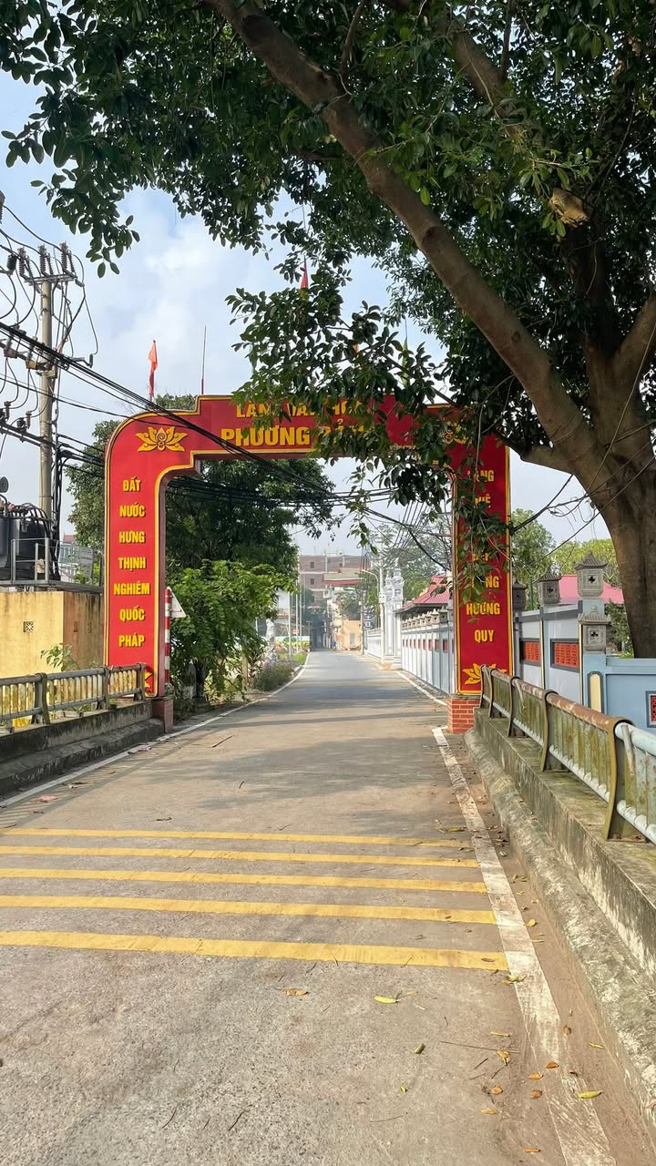 Đất nền 100m² Phương Bảng, Song Phương giá thỏa thuận - Vị trí đắc địa, ô tô vào tận nơi!