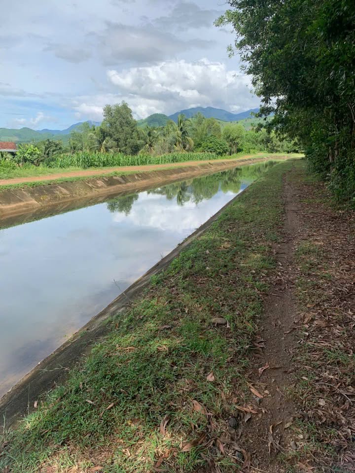 Đất nền 60.000m² tại Ninh Sơn, Ninh Hòa giá 2.4 tỷ - Cơ hội đầu tư tuyệt vời!