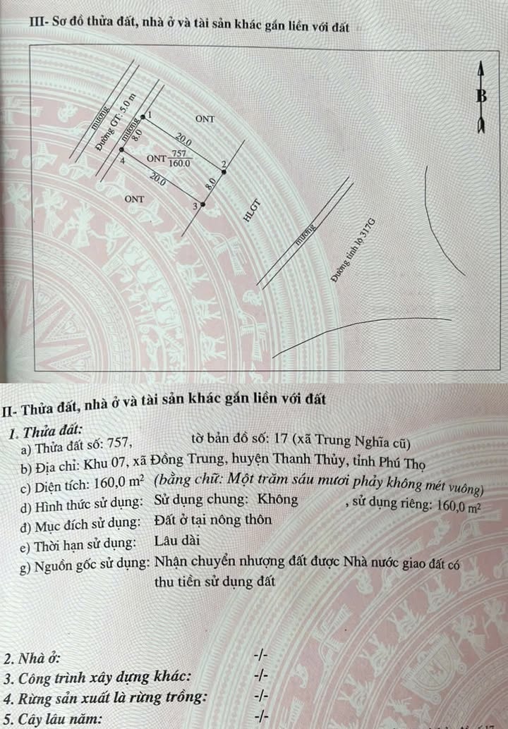 Đất đấu giá Đồng Trung 160m² giá 2.5 tỷ - Vị trí đắc địa kinh doanh