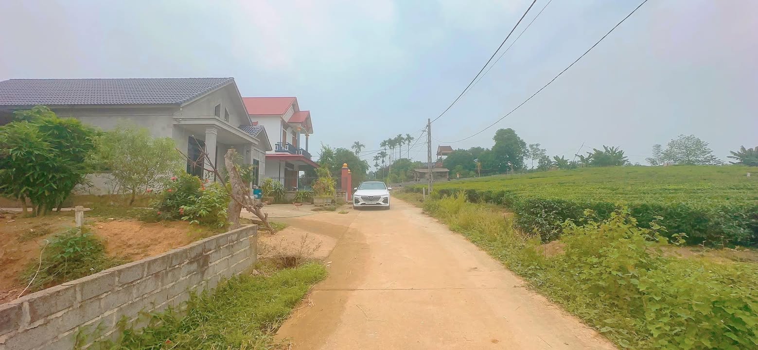 Đất thổ cư Võ Miếu Thanh Sơn 168,8m² - Đường ô tô vào tận nơi!