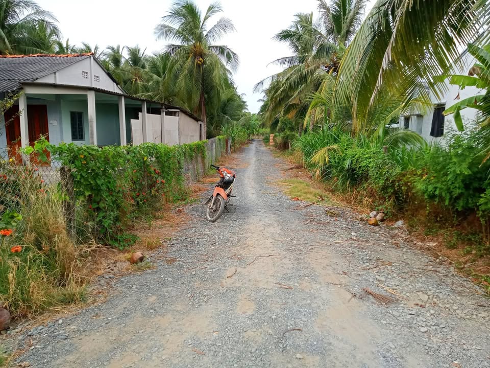 Đất vườn 6600m² tại ấp Bình Trung, Gò Công Tây - Giá chỉ 650 triệu - Đầu tư sinh lời!