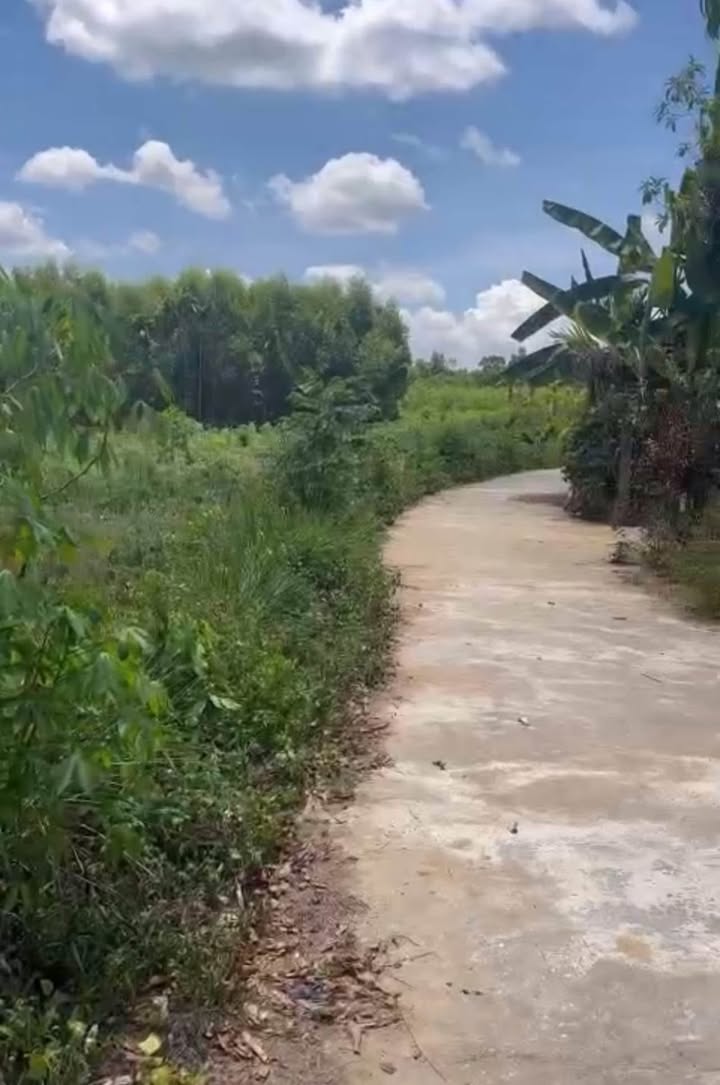 Đất thổ cư Tịnh Giang 2300m² giá 700 triệu - Vị trí đẹp, đường xe tải thuận lợi!