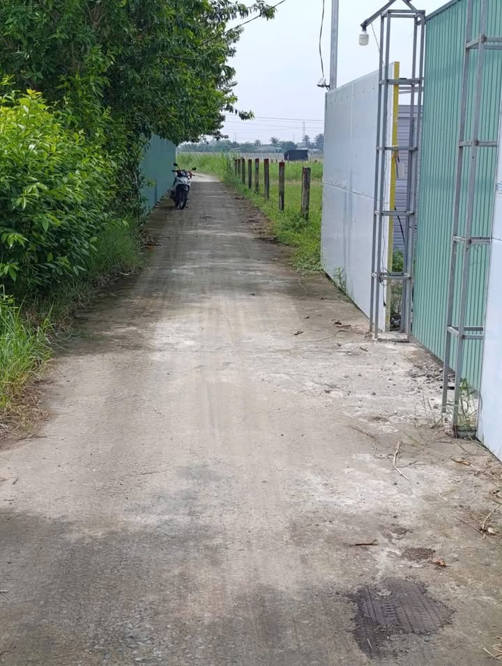 Đất nền 140m² tại Ấp 3, Lạc Tấn, Tân Trụ - Giá chỉ 430 triệu - Sổ đỏ chính chủ!