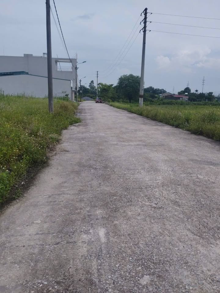 Đất dịch vụ Lưu Xá, Quất Động, Thường Tín 80m² giá 3 tỷ - Cơ hội đầu tư hấp dẫn!