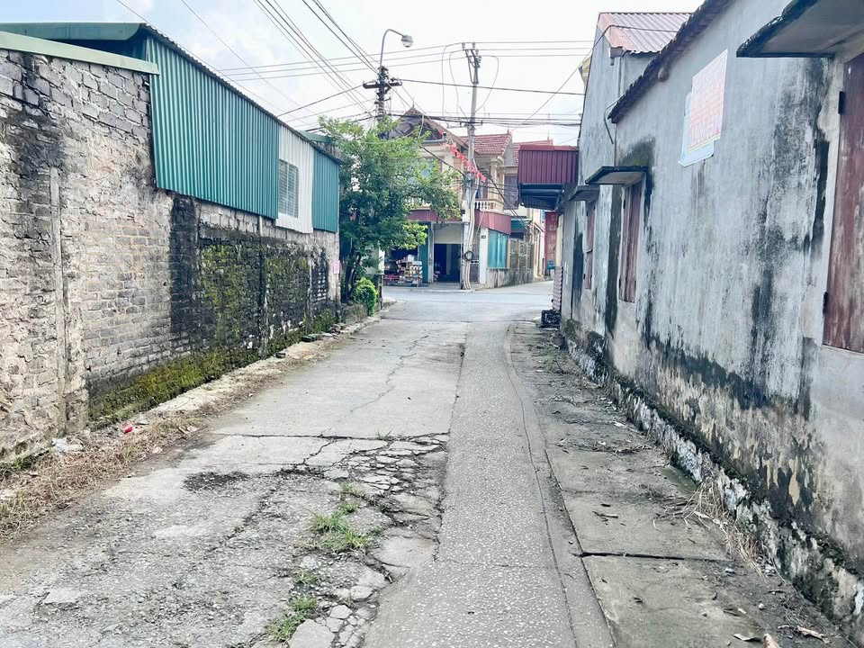 Đất nền Đoài Hạ, Ninh Phúc 135m² giá thỏa thuận - Mặt tiền 15m, ô tô vào tận nơi!