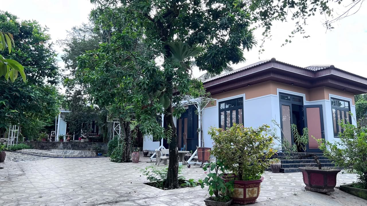 Nhà vườn cho thuê tại Nguyễn Trường Tộ, BMT 5000m² - Không gian nghỉ dưỡng lý tưởng!