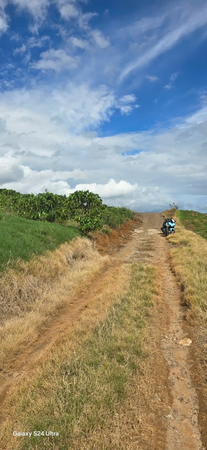 Đất thổ cư Lâm Hà 195m² giá chỉ 350 triệu - Bán gấp, gần đường nhựa!