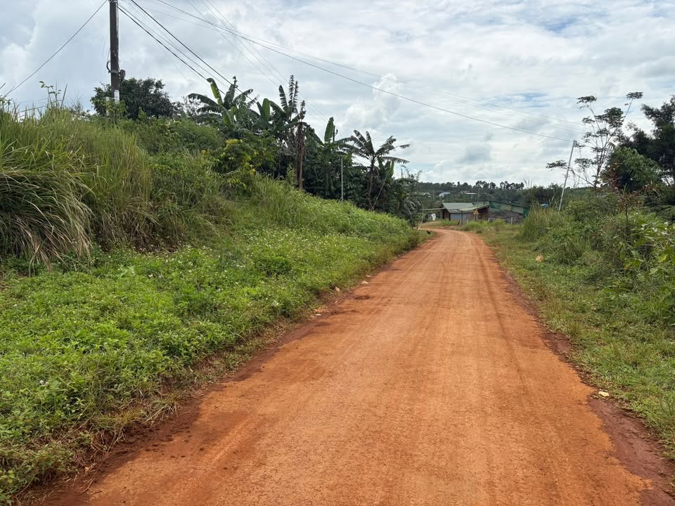 Đất nền 4.000m² mặt đường nhựa tại Quảng Tân, Tuy Đức - Giá chỉ 1.05 tỷ!