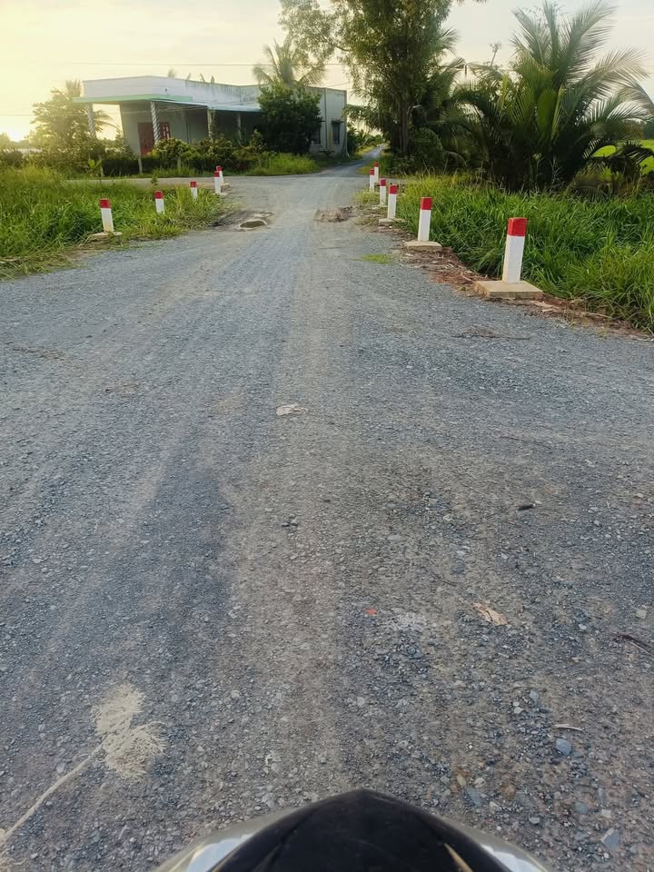 Đất nền 5 công tại Ấp 1, Tân Thành, Thủ Thừa - Giá 3.4 tỷ - Tiềm năng phát triển!