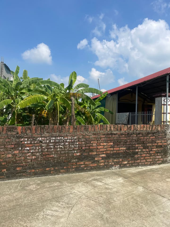 Đất nền Ngọc Thanh Phúc Yên 345m² giá 1.725 tỷ - Vị trí đắc địa gần Hồ Đại Lải!