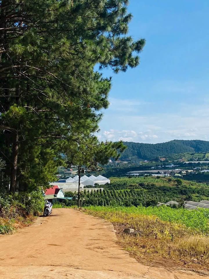 Đất hai mặt tiền tại thị trấn Nam Ban, 407m² giá 1.3 tỷ - Đầu tư sinh lời ngay!