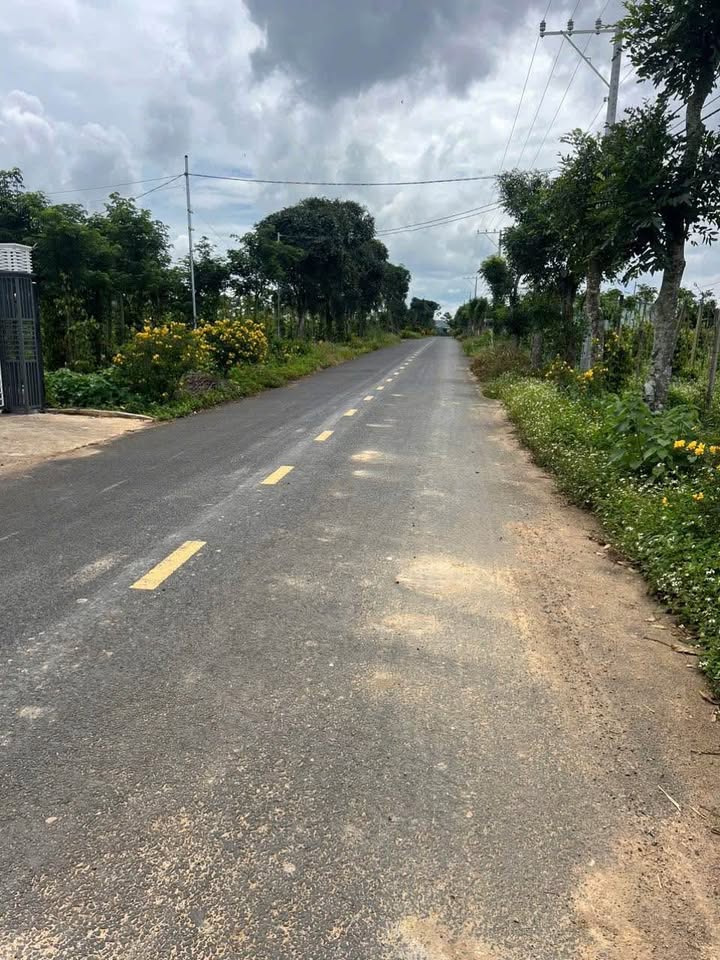 Đất 2 mặt tiền Tân Hội, Đức Trọng 499m² giá 2.1 tỷ - Cơ hội đầu tư hiếm có!