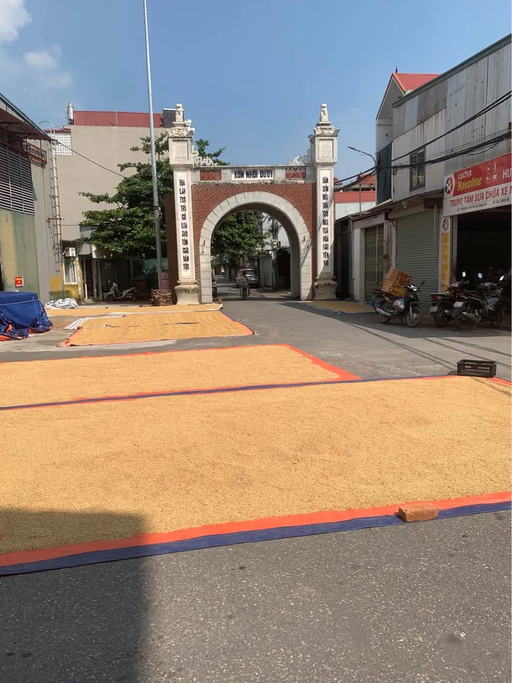 Đất Cổ Loa Đông Anh 70m² giá 4 tỷ - Đầu tư sinh lời ngay hôm nay!