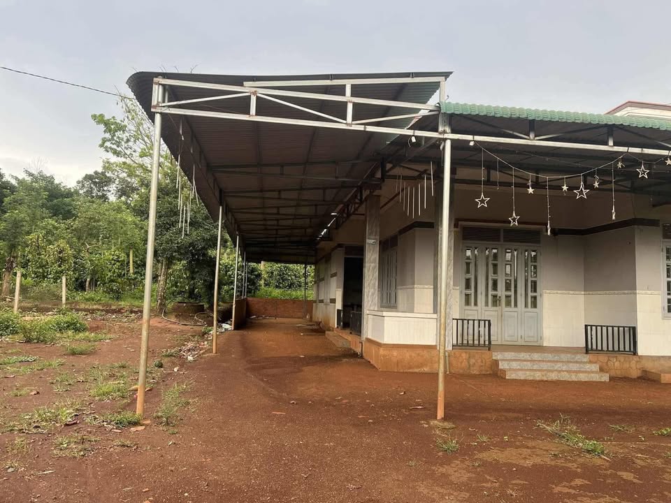 Đất mặt đường Tỉnh lộ 683, xã Đức Minh, 2500m² giá 8.6 tỷ - Chính chủ bán gấp!