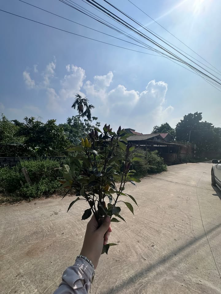 Đất thổ cư Nhuận Trạch Lương Sơn 138m² giá chỉ 1.8 tỷ - Đầu tư sinh lời tốt!