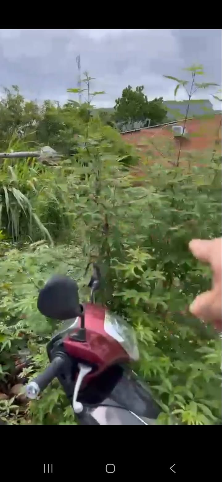 Đất thổ cư 600m² tại Tân Quý Tây, Bình Chánh - Giá chỉ 7.2 tỷ!