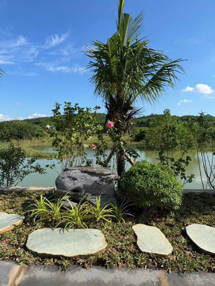 Đất nền Lạc Thủy 95.3m² giá chỉ 1x triệu/m² - Vị trí siêu đẹp view hồ!