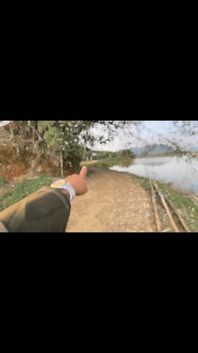 Đất Farm Yên Bồng Lạc Thủy 1555m² giá chỉ 2.35 tỷ - Phù hợp nghỉ dưỡng hoặc phân lô!