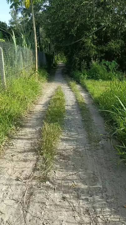 Đất nền Trảng Bàng 500m² giá 1.5 tỷ - Đường Nhà Nước rộng rãi, tiện lợi!