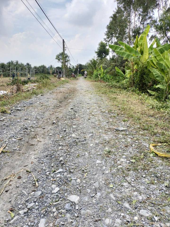 Đất thổ cư Song Bình Chợ Gạo 100m² giá tốt - Đầu tư sinh lời ngay!