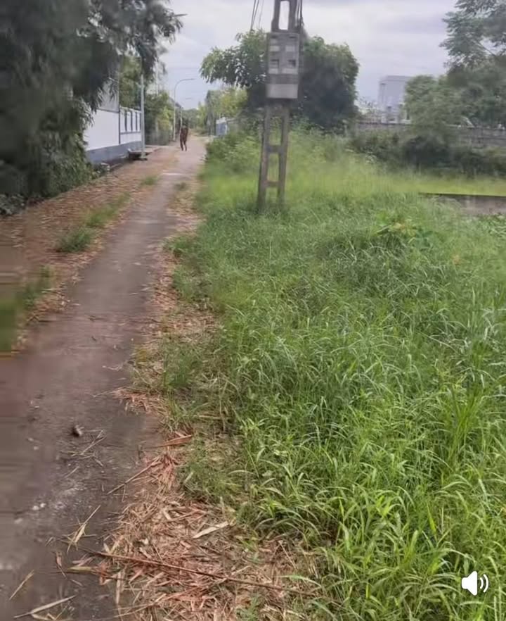 Bán đất xã Nghĩa Hồng, huyện Nghĩa Hưng, 560m² chỉ 1 tỷ - Cơ hội sở hữu khuôn thổ đẹp!