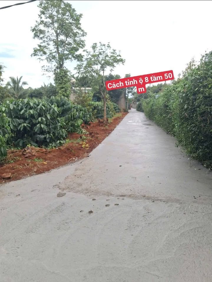 Đất nền Pơng Drang, Krông Búk 175m² giá chỉ 650 triệu - Cơ hội đầu tư hấp dẫn!