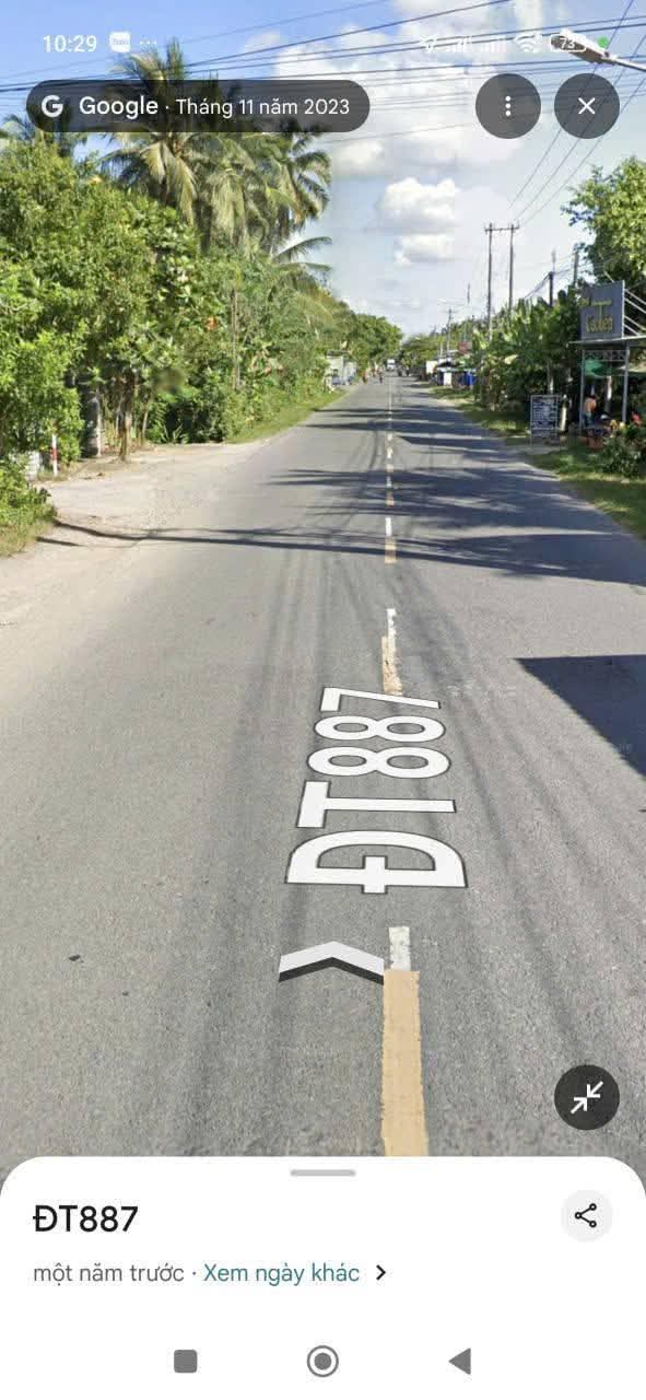 Đất vườn dừa 6000m² tại xã Long Mỹ, Bến Tre - Cơ hội đầu tư hấp dẫn!