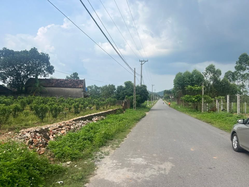 Đất thổ cư tại Lục Nam 100m² giá chỉ 1 tỷ - Đầu tư sinh lời ngay!