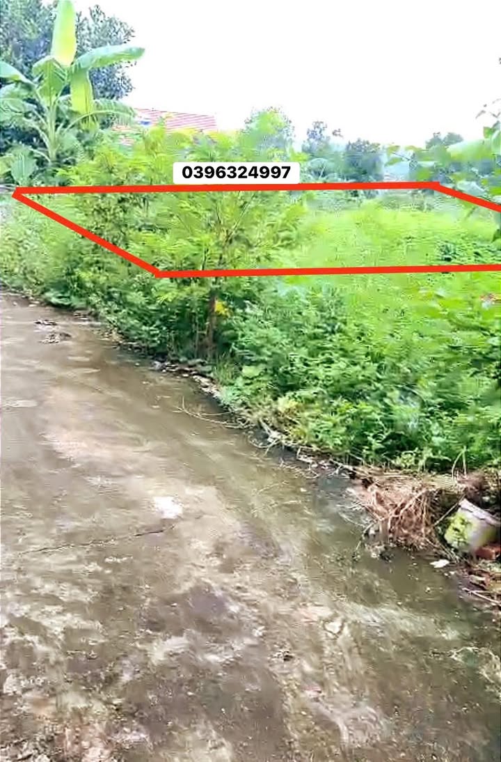 Đất nền Khám Lạng, Lục Nam 117m² giá chỉ từ 200 triệu - Cơ hội đầu tư tuyệt vời!